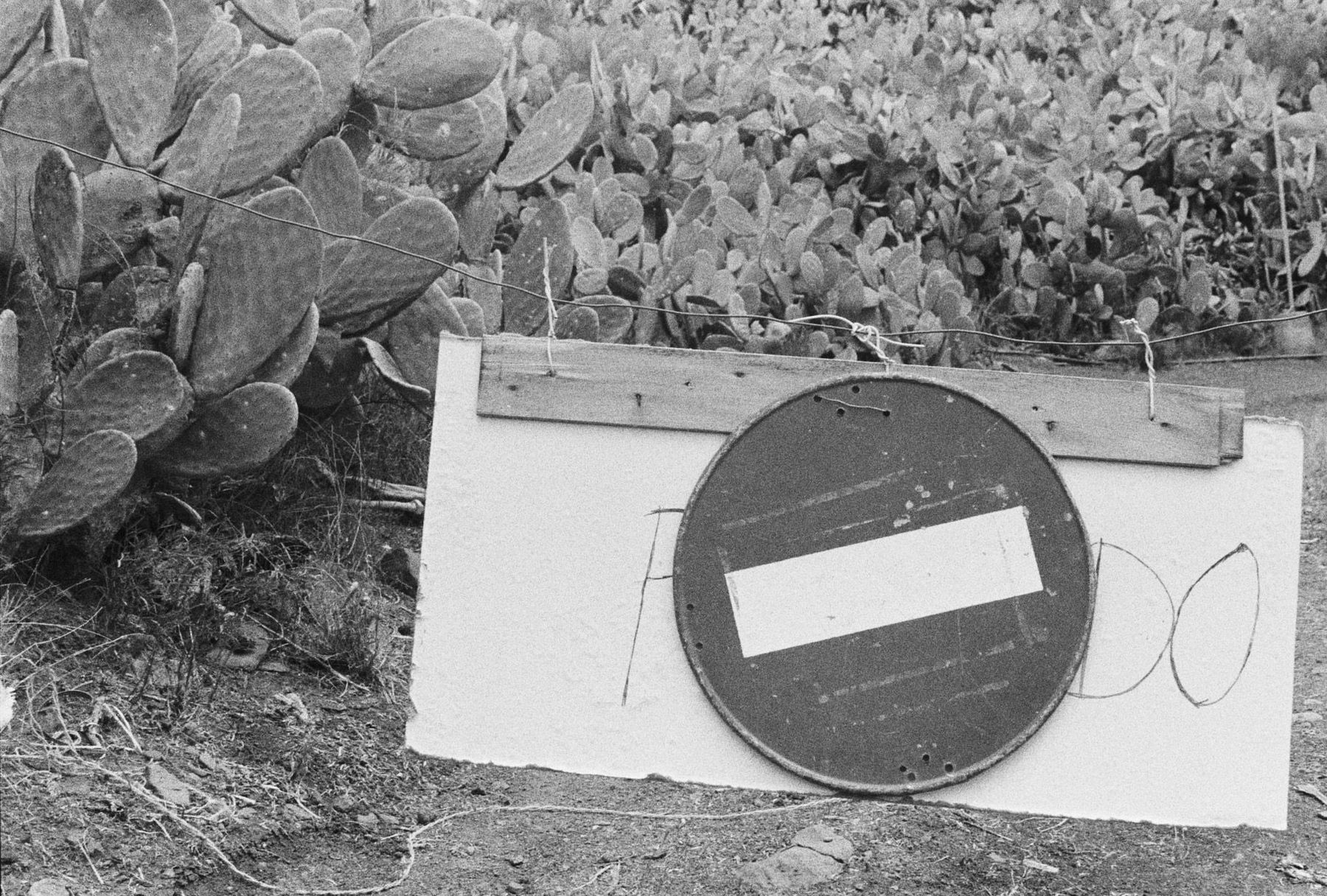 A 'no entry' sign propped among cacti